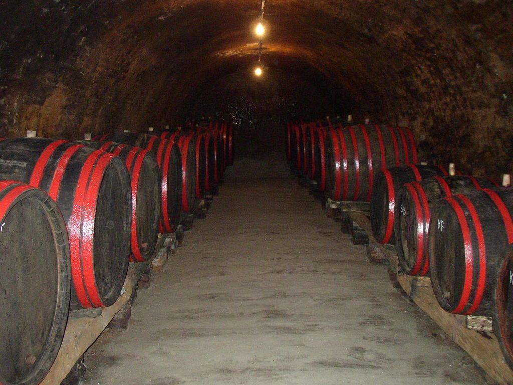 Kneževi Vinogradi Podrumi Kolar "Suza Baranje" المظهر الخارجي الصورة