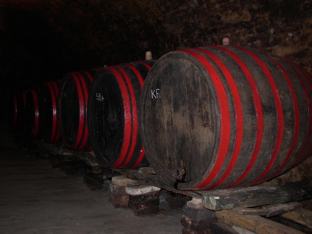 Kneževi Vinogradi Podrumi Kolar "Suza Baranje" المظهر الخارجي الصورة